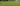 [Part 4] How Matcha Is Made: From Field to Bowl